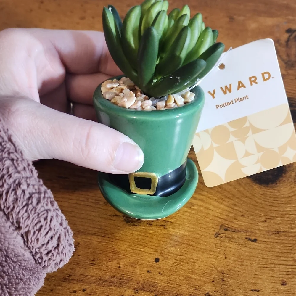 Green Leprechaun Hat Potted Plant -
